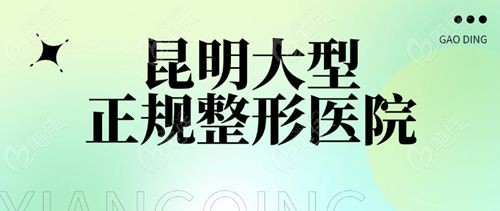 昆明大型正规整形医院排名top10