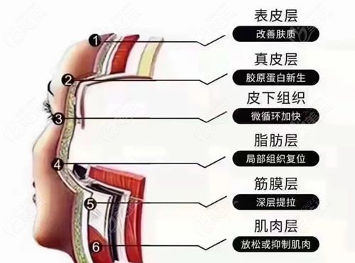 北京美吉拉医院王志军简介
