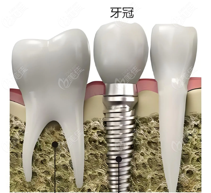 首都医科大学附属北京口腔医院电话号码