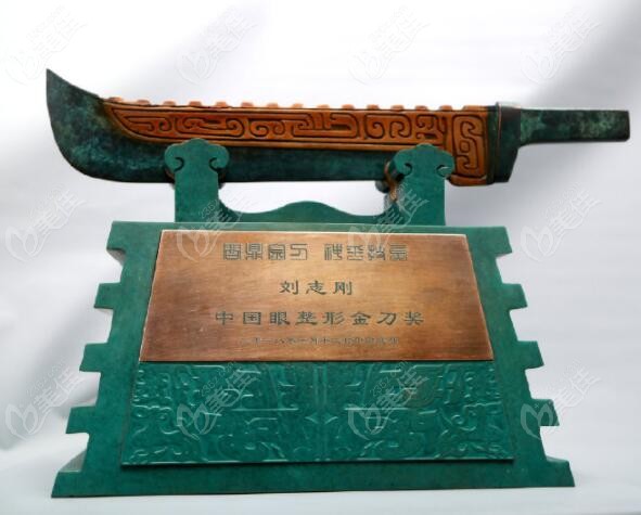 大连爱德丽格医生团队强不强