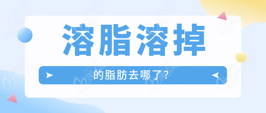 溶脂溶掉的脂肪去哪了？