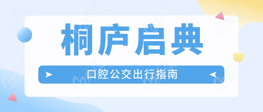 桐庐启典口腔公交出行指南