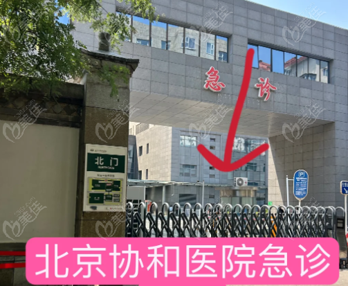 北京协和医院