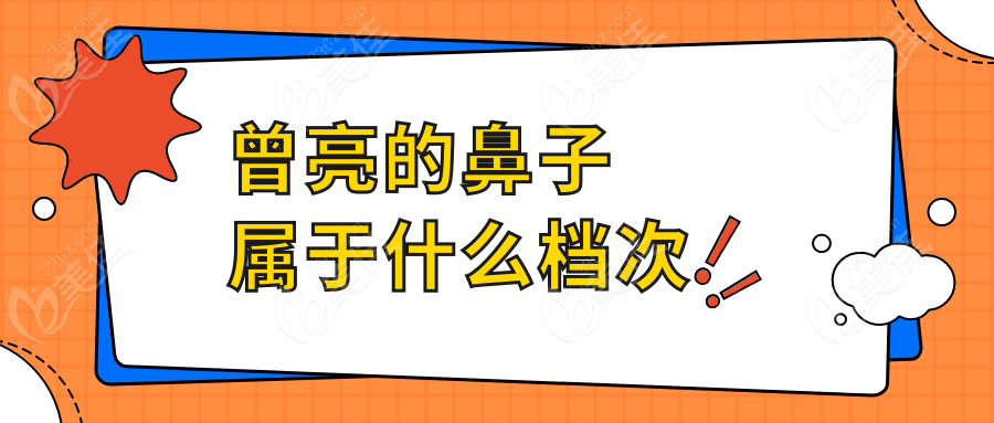 曾亮的鼻子属于什么档次