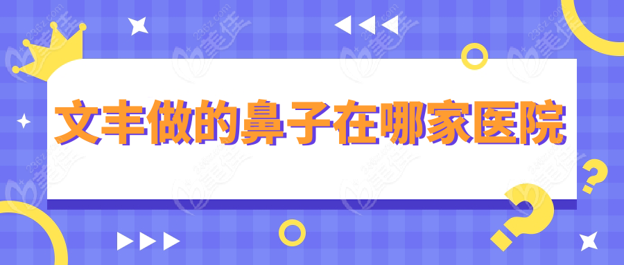 文丰做的鼻子在哪家医院