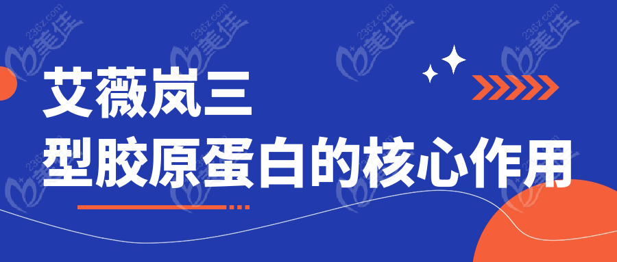 艾薇嵐三型膠原蛋白的核心作用