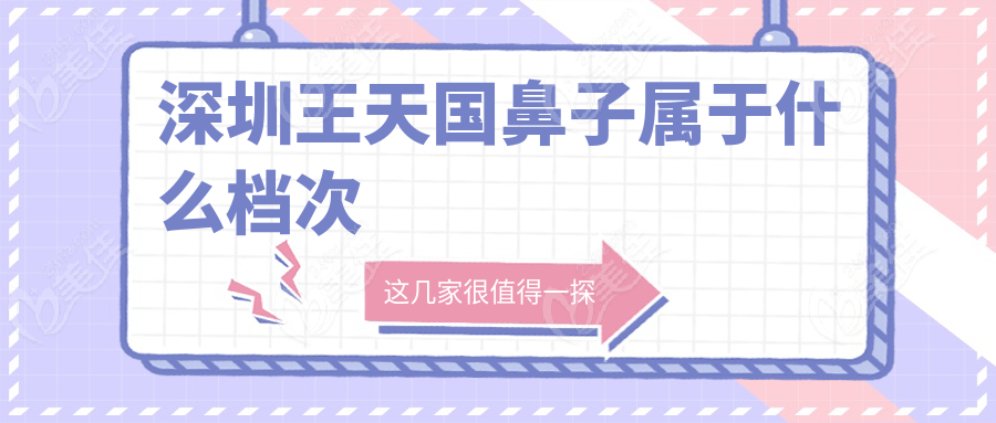 深圳王天国鼻子属于什么档次