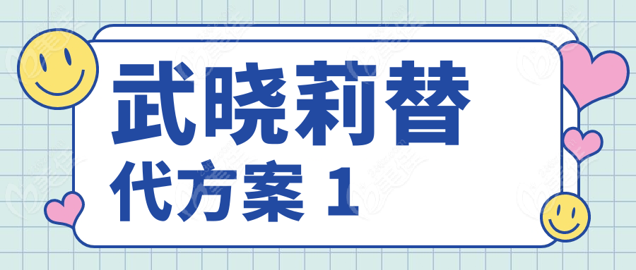 武晓莉替代方案 1