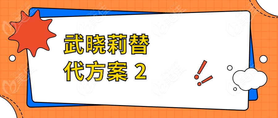武晓莉替代方案 2