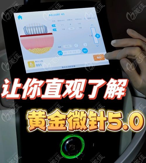 半岛黄金微针5.0多少钱一次