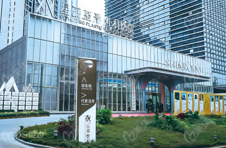 李世荣手术价格表