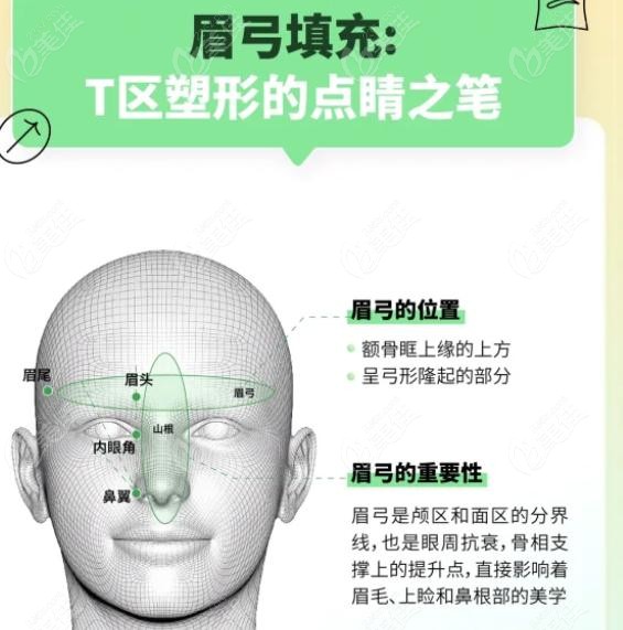 眉弓填充用什么再生材料好