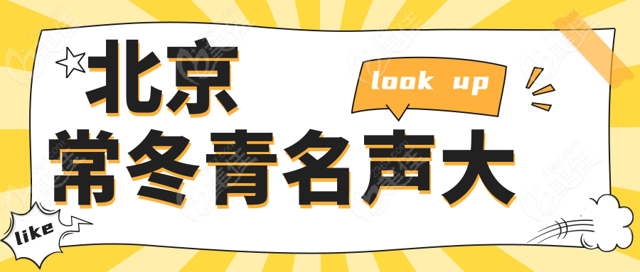 北京常冬青名声大