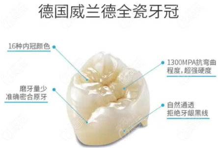 德国威兰德全瓷牙