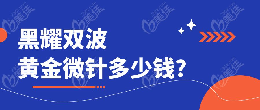 黑耀双波黄金微针多少钱？