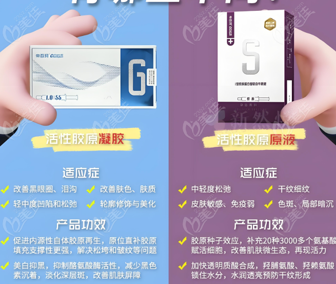 帝百珂2中型號特點(diǎn)對比