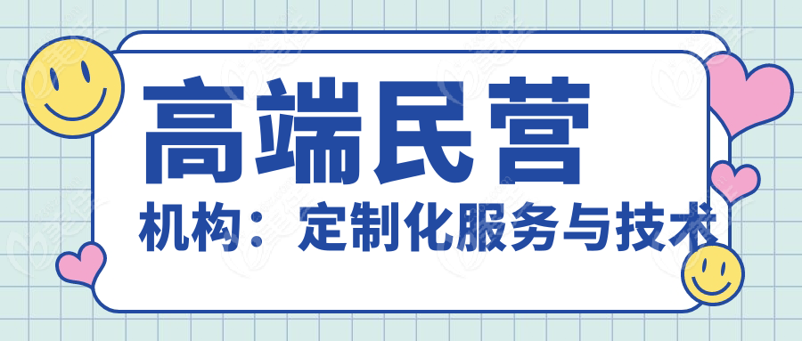高端民营机构：定制化服务与技术