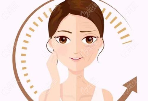 黄寅守和袁强谁的性价比高