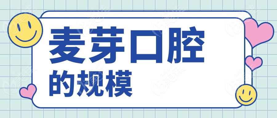 麦芽口腔的规模