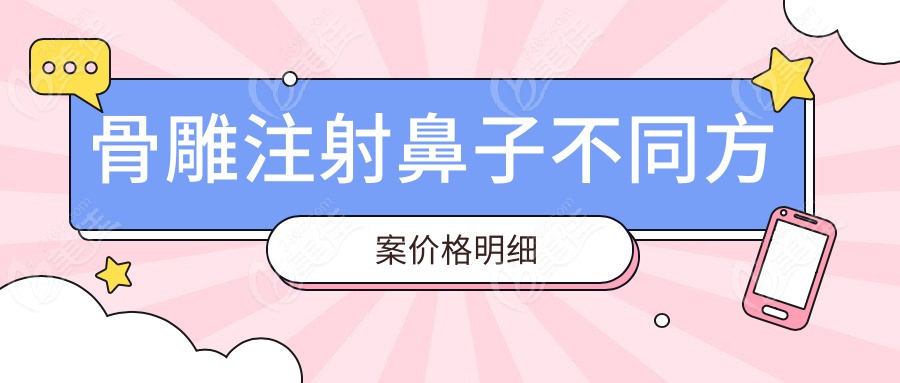 骨雕注射鼻子不同方案价格明细