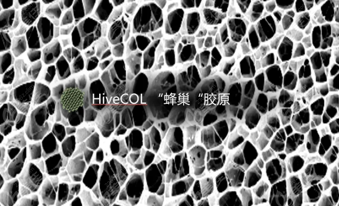 HiveCOL 蜂巢胶原为啥专克 “脸垮”？