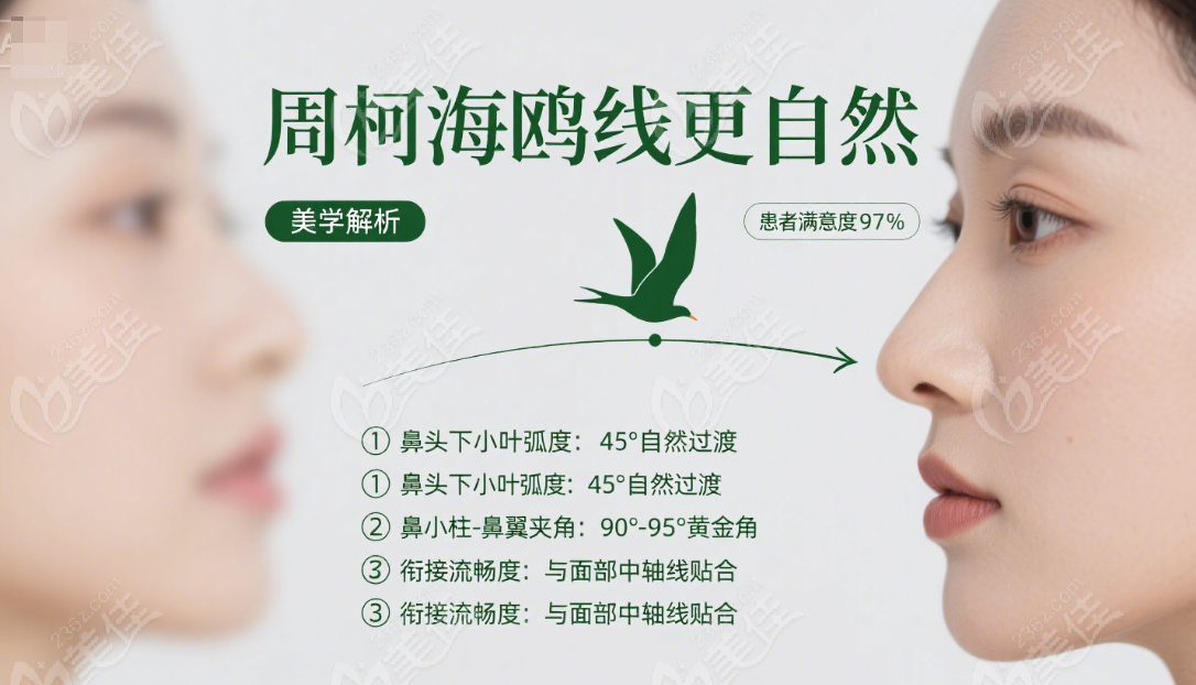 周柯做鼻子的海鸥线