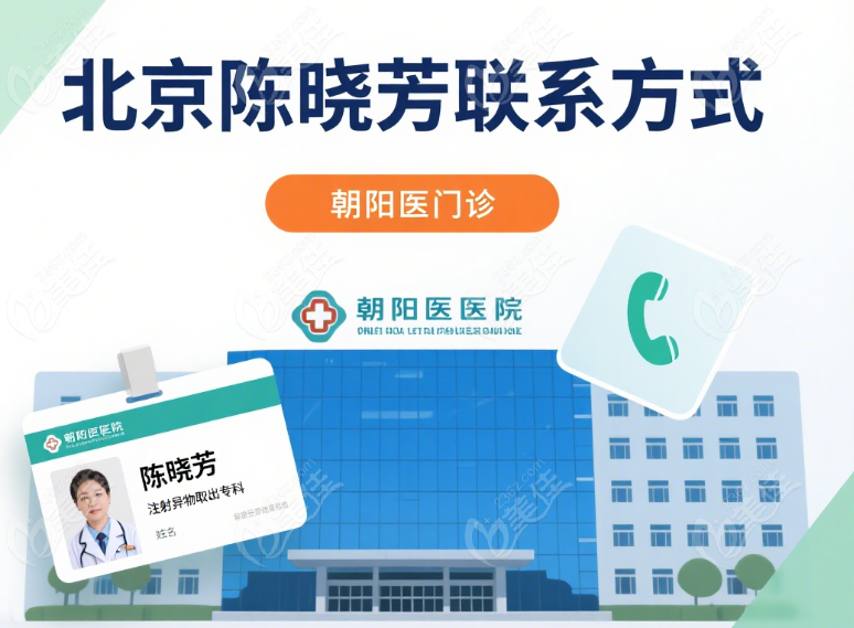 北京陈晓芳联系方式电话