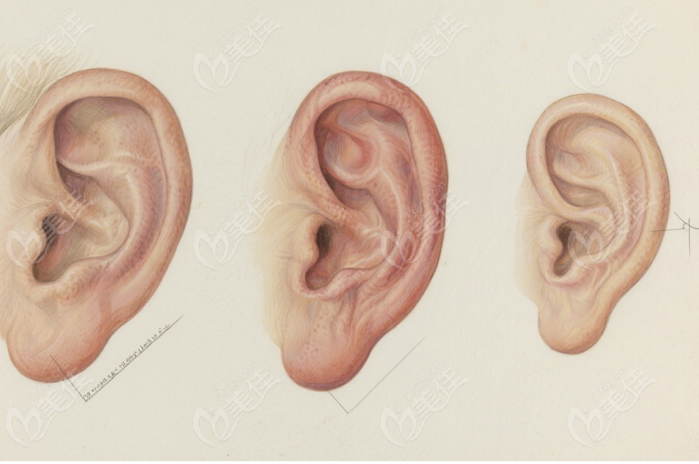 八大處耳整形醫(yī)生Top5 八大處耳整形醫(yī)生Top5