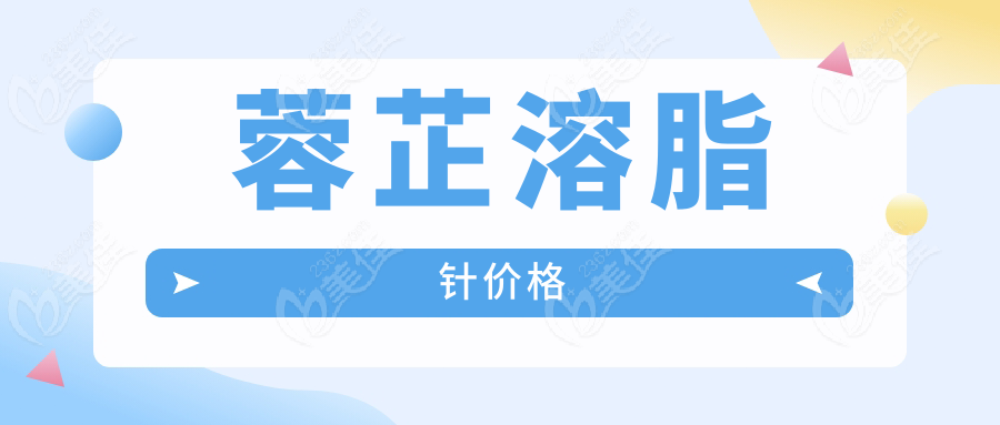 蓉芷溶脂针价格