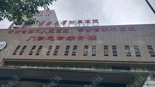 昆明红会医院眼科张虹个人简历