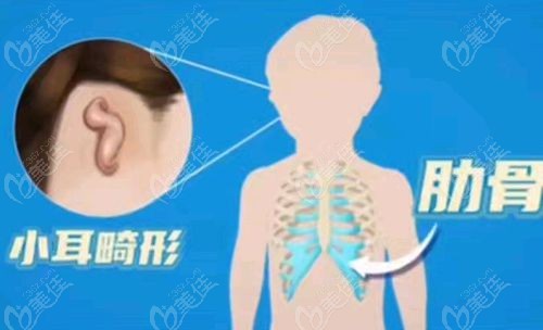 面诊前准备清单
