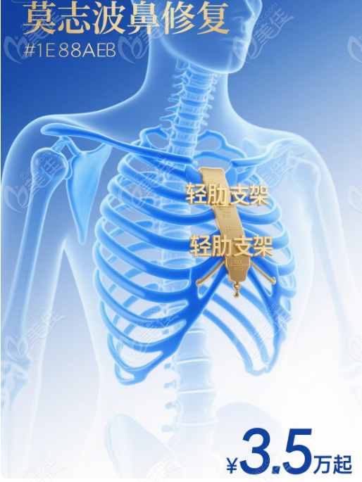 廣州莫志波鼻修復(fù)價(jià)目表