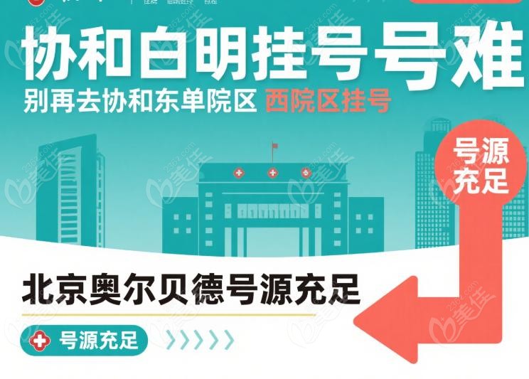 白明個人資料及簡歷