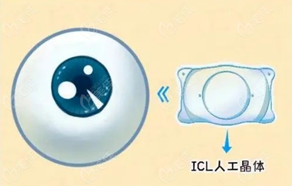 微信截图_20230721151627_副本.jpg