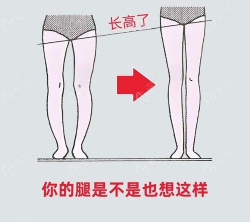 任学会腿部雕塑做的好