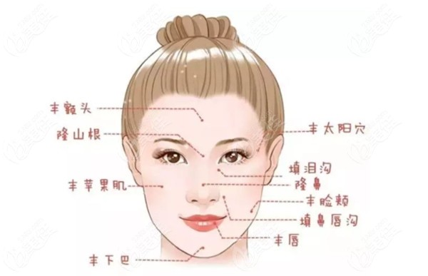 輪廓固定是什么