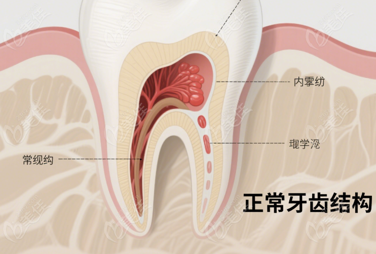 寶雞市根管治療價(jià)格表236z.com