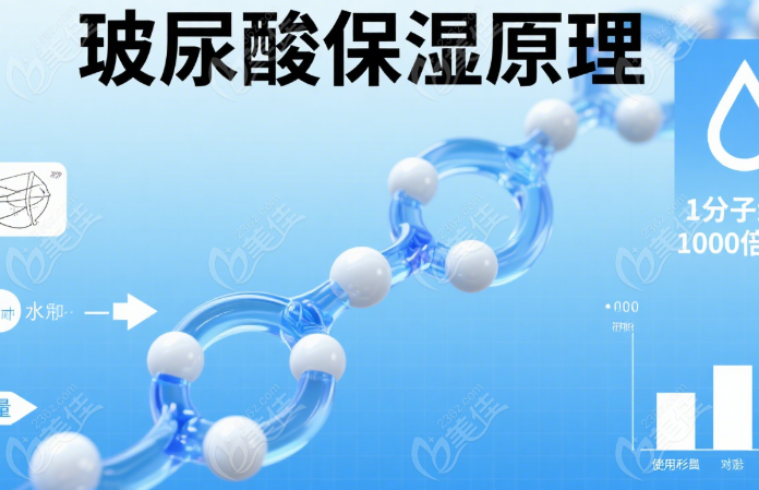海魅云境和舒媞雅有什么区别236z.com
