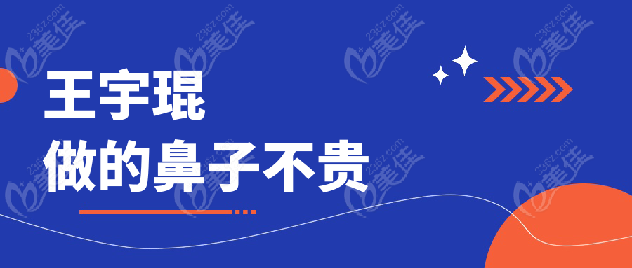 王宇琨做的鼻子不貴