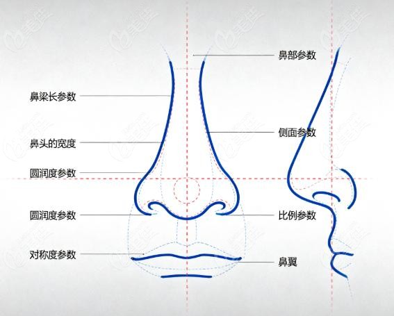 赵延勇的“原生鼻美学设计”凭啥破局