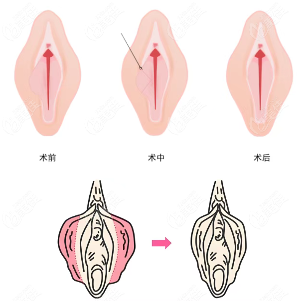 ҽԺĵַӪҵʱԤԼʽ
