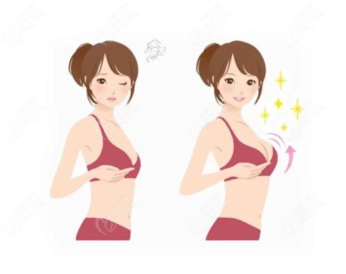 李建东维维提升真的有用吗