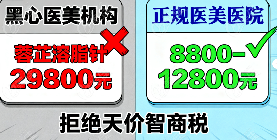 蓉芷溶脂針價格