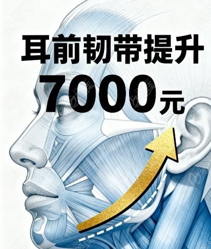 八大处微调找哪个大夫