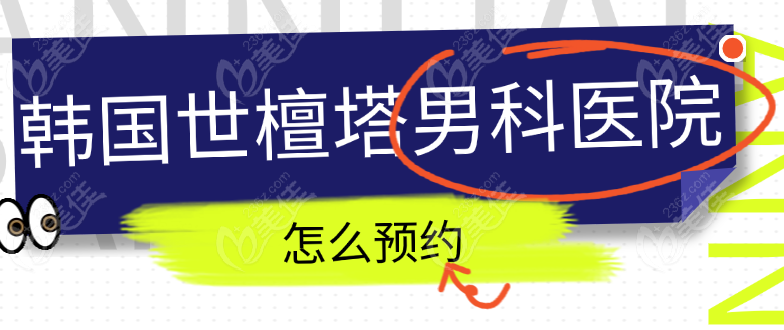 世檀塔怎么预约