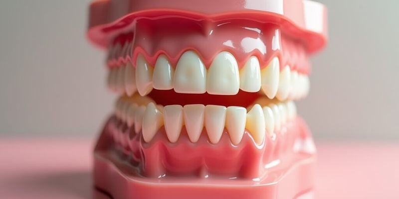 七、交通与营业时间：潮安区庵埠镇极至口腔的医生技术怎么样？地址方便才真香