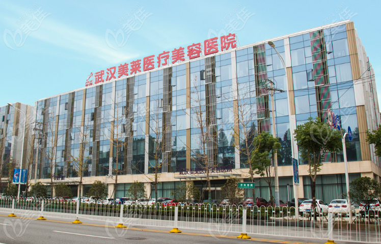 2025武汉面部整形医院排名前十