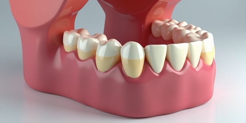 四、新余三位热门牙医核心信息对比表