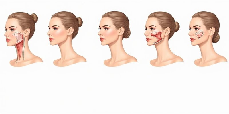 （二）上海倪峰：緊致派標(biāo)桿，20 年經(jīng)驗老炮m.pfflawyer.com