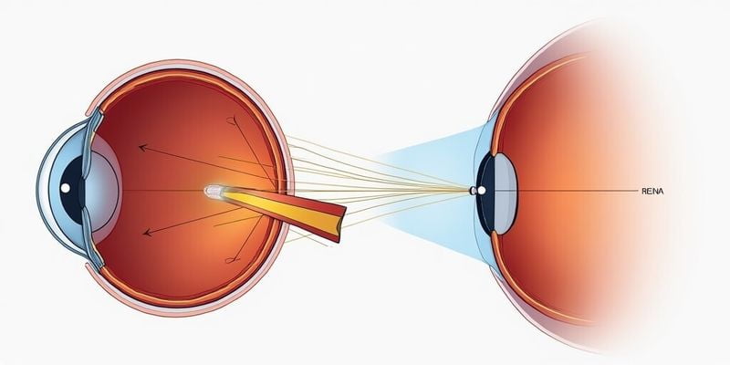 二、患者维权实例警示：为什么有人说顾宝文手术更稳妥